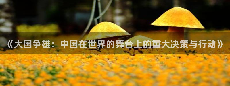世界杯预选赛亚洲区积分榜：《大国争雄：中国在世界的舞台上的重大决策与行动》