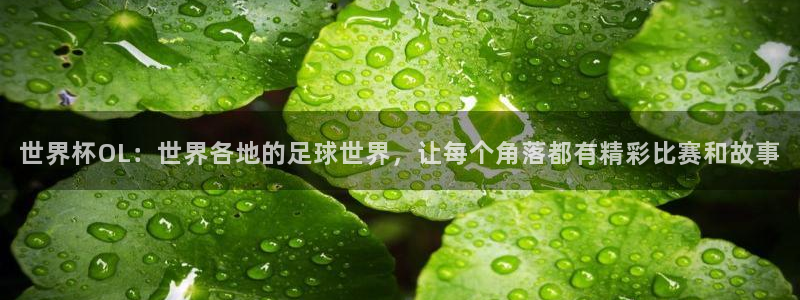 2026世界杯德国队阵容：世界杯OL：世界各地的足球世界，让每个角落都有精彩比赛和故事