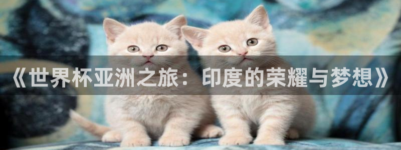 世界杯亚洲预选赛18强赛程：《世界杯亚洲之旅：印度的荣耀与梦想》
