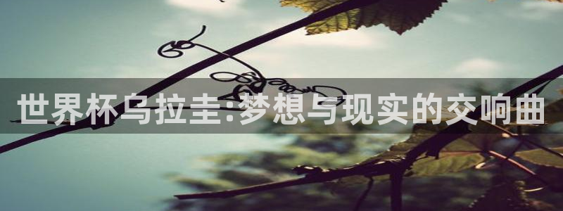 2026年世界杯赛程表时间：世界杯乌拉圭:梦想与现实的交响曲