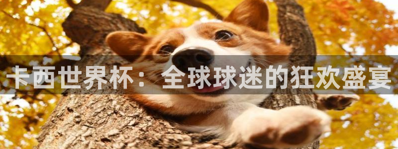 世界杯赛程表2026：卡西世界杯：全球球迷的狂欢盛宴