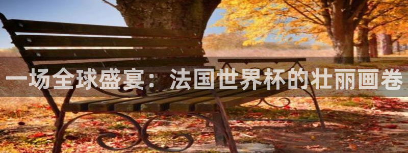 2026年世界杯赛程时间表格：一场全球盛宴：法国世界杯的壮丽画卷