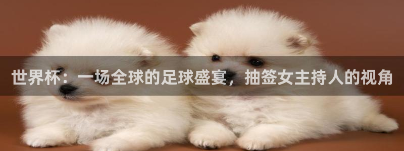 亚洲杯足球：世界杯：一场全球的足球盛宴，抽签女主持人的视角
