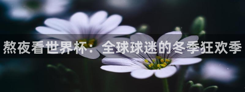 世界直播：熬夜看世界杯：全球球迷的冬季狂欢季