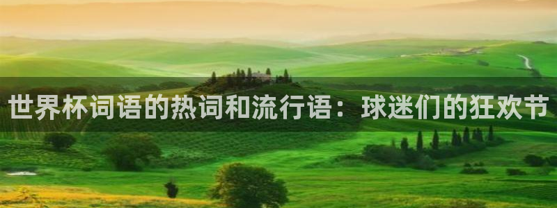 足球世界杯2026年赛程时间表：世界杯词语的热词和流行语：球迷们的狂欢节