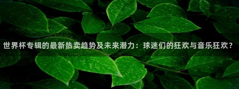 世界直播：世界杯专辑的最新热卖趋势及未来潜力：球迷们的狂欢与音乐狂欢？