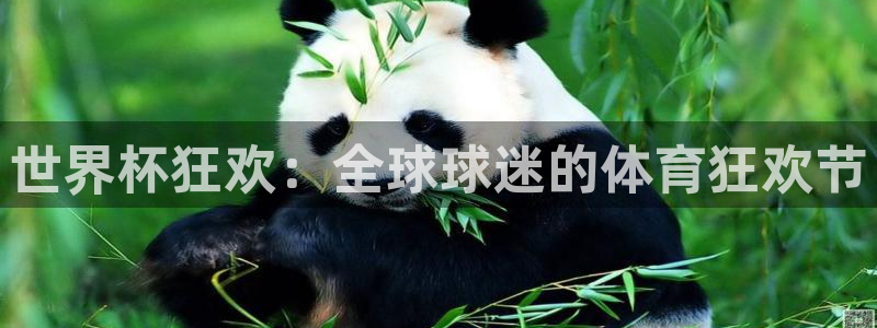 世界杯系列赛：世界杯狂欢：全球球迷的体育狂欢节