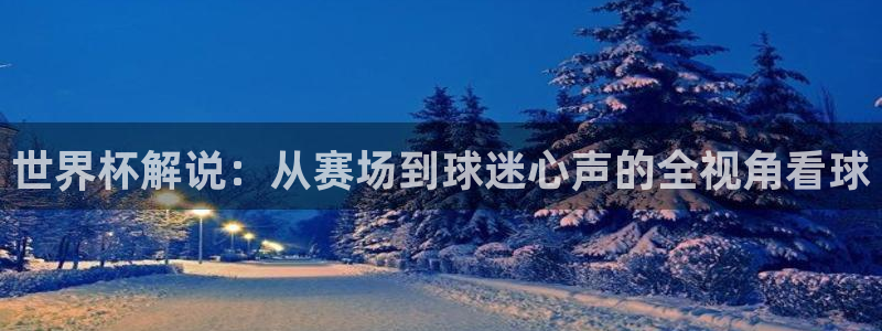 国际足联世界杯：世界杯解说：从赛场到球迷心声的全视角看球