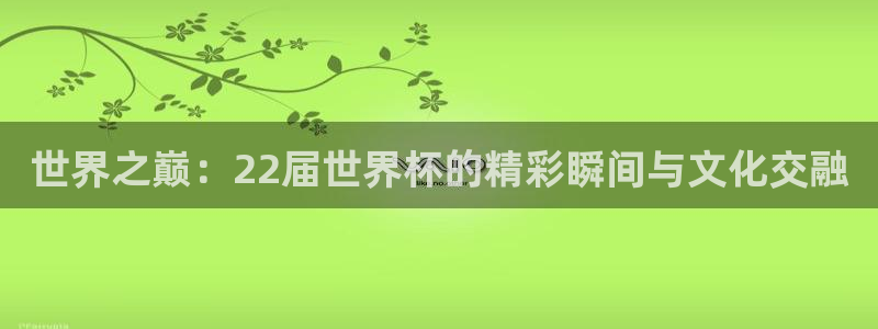 世界杯官网：世界之巅：22届世界杯的精彩瞬间与文化交融