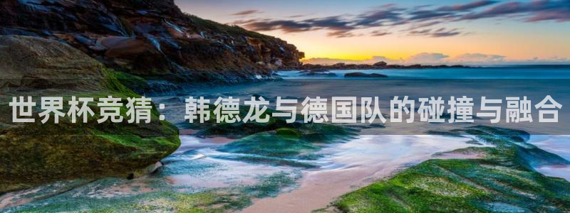 世界杯预选赛亚洲区积分榜：世界杯竞猜：韩德龙与德国队的碰撞与融合