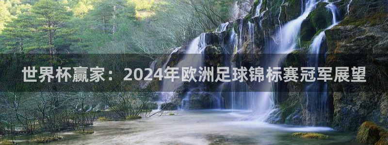 2026世界杯预选赛：世界杯赢家：2024年欧洲足球锦标赛冠军展望
