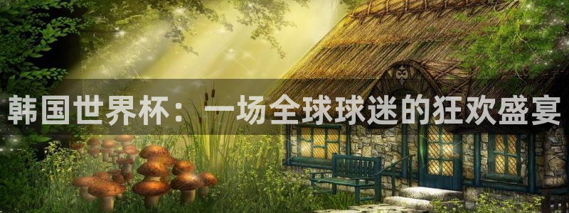 世界杯比赛时间：韩国世界杯：一场全球球迷的狂欢盛宴