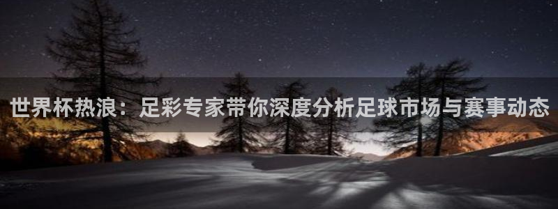 世界杯欧洲区预选赛：世界杯热浪：足彩专家带你深度分析足球市场与赛事动态