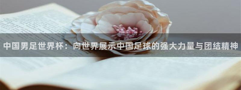 世界杯足球：中国男足世界杯：向世界展示中国足球的强大力量与团结精神