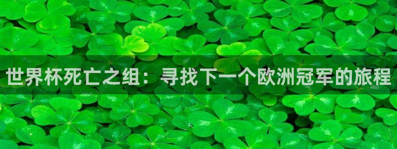 世界杯预选赛欧洲赛区积分榜：世界杯死亡之组：寻找下一个欧洲冠军的旅程